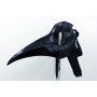 Black Bone Plague Doctor mask