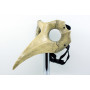 Bone Plague Doctor mask