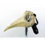 Bone Plague Doctor mask