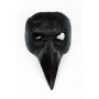 Raven mask, Plague Doctor mask